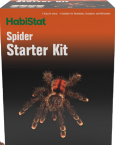 Kit Starter per Ragni